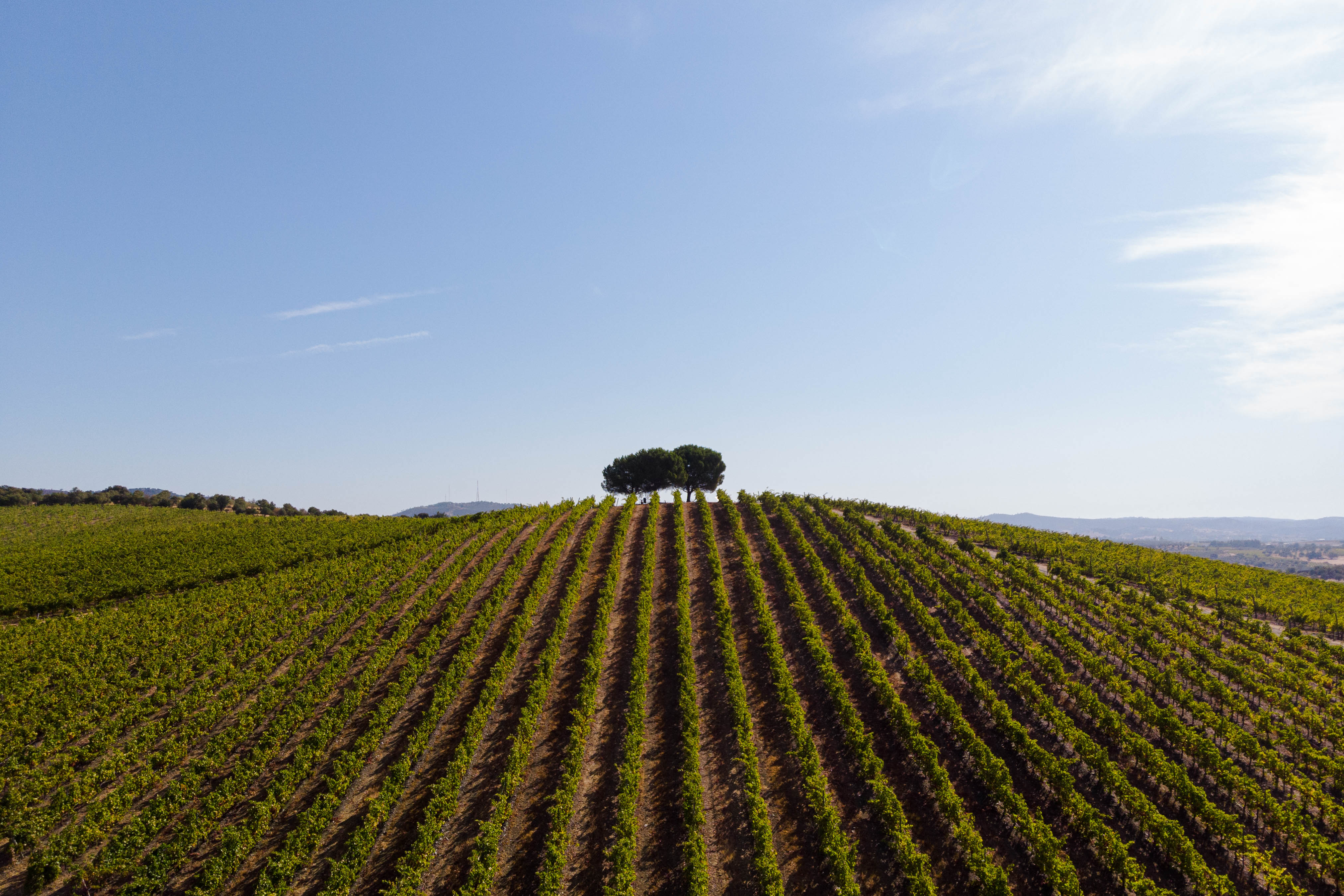 Quinta do Quetzal